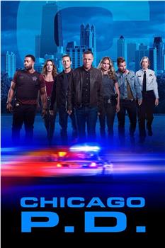 芝加哥警署 第七季在线观看和下载