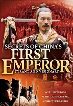 中国风暴-第一个皇帝的秘密在线观看和下载