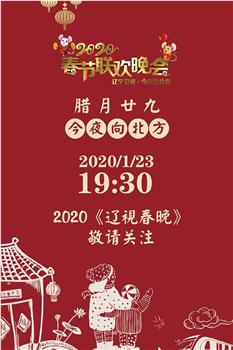2020年辽宁卫视春节联欢晚会在线观看和下载