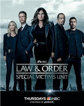 法律与秩序：特殊受害者 第二十四季在线观看和下载