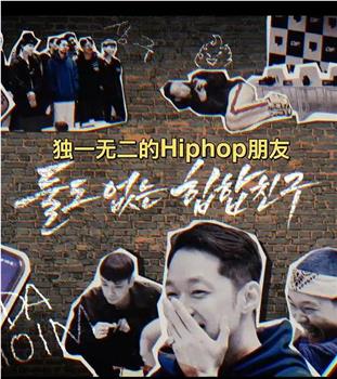 DF独一无二的hiphop朋友在线观看和下载