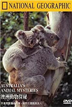 国家地理：澳洲动物探秘在线观看和下载