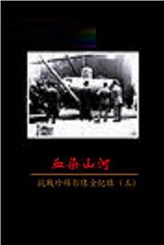 血染山河—抗战珍稀影像全纪录在线观看和下载