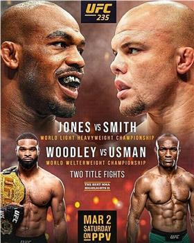 UFC 235：骨头Jones vs. 狮心Smith在线观看和下载