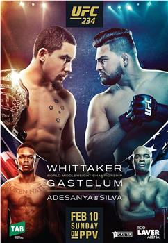 UFC 234: 阿迪萨亚 vs. 安德森席尔瓦在线观看和下载