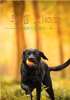 导盲犬No.31在线观看和下载