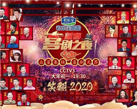 2020新春喜剧之夜在线观看和下载