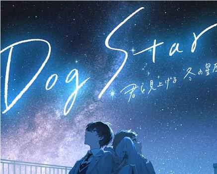 Dog Star 与你一同仰望冬季的群星在线观看和下载