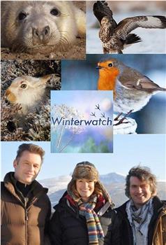 冬季观察 第十季在线观看和下载