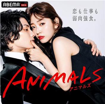 ANIMALS 归国篇在线观看和下载