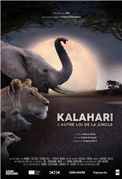 Kalahari, l'autre loi de la jungle Season 1在线观看和下载