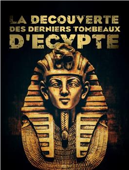La découverte des derniers tombeaux d'Egypte Season 1在线观看和下载