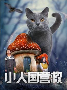 小人国营救在线观看和下载