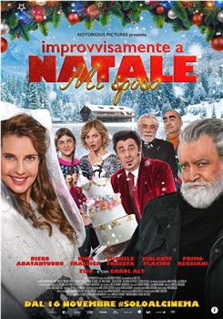 Improvvisamente a Natale mi sposo在线观看和下载
