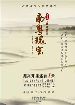 《南粤瑰宝》第一季《非遗传奇》在线观看和下载