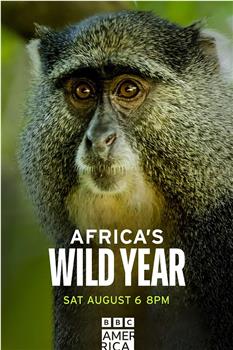 狂野非洲 第一季在线观看和下载