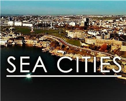 海洋城市 第二季在线观看和下载