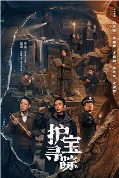护宝寻踪在线观看和下载