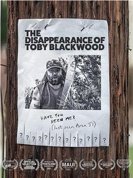 The Disappearance of Toby Blackwood在线观看和下载