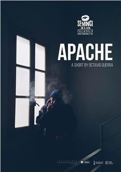 Apache在线观看和下载