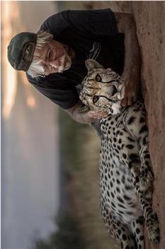 猎豹守护人在线观看和下载