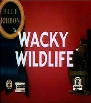 Wacky Wildlife在线观看和下载