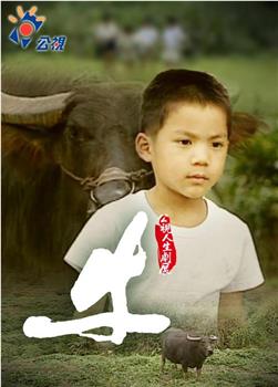 牛在线观看和下载