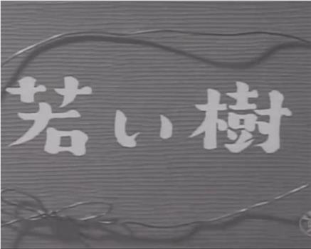 若い樹在线观看和下载