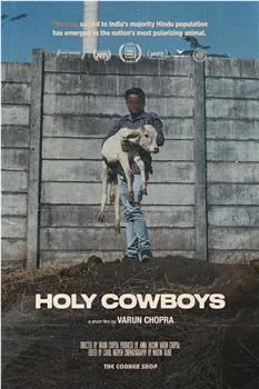 Holy Cowboys在线观看和下载