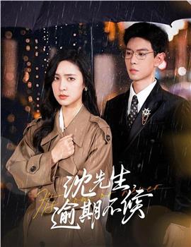 沈先生，逾期不候在线观看和下载