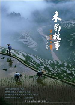 禾的故事在线观看和下载