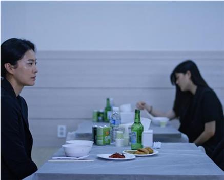 국화의 틈在线观看和下载