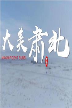 大美肃北在线观看和下载