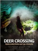 Deer Crossing在线观看