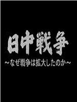 中日战争扩大化的真相在线观看