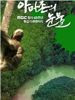 亚马逊的眼泪