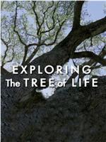 探索生命之树在线观看