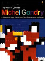 The Work of Director Michel Gondry