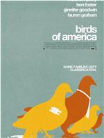 美国鸟类在线观看