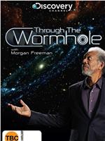 与摩根·弗里曼一起穿越虫洞 第一季在线观看