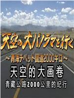 天空的大画卷：青藏公路2000公里纪行在线观看