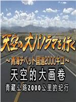 天空的大画卷：青藏公路2000公里纪行在线观看