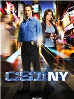 犯罪现场调查：纽约 第八季在线观看