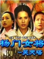 杨门女将之昊天塔在线观看