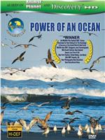 赤道系列：海洋的力量在线观看