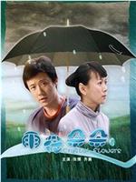 雨花朵朵在线观看