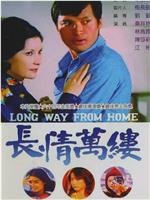 长情万缕观看
