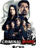 犯罪心理 第十二季在线观看