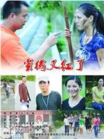蜜橘又红了