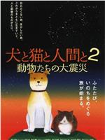 狗和猫和人2：动物们的大震灾